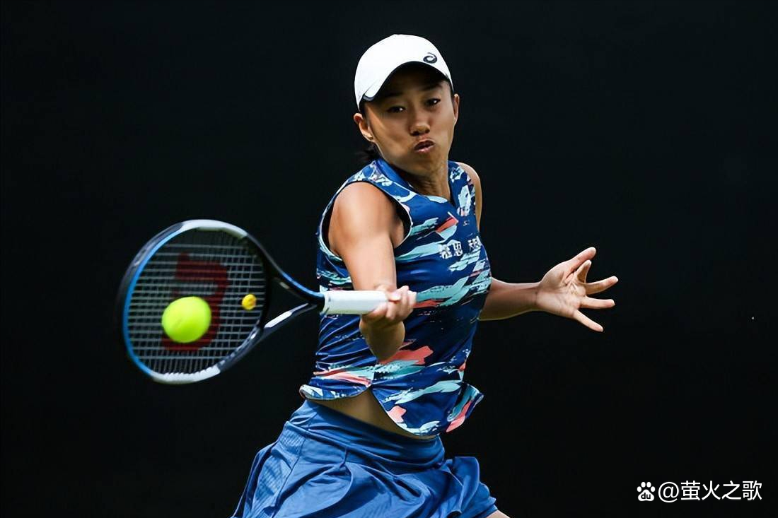 芮乃伟与武 芮乃伟与武